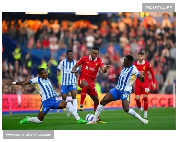 布莱顿教练称赞维尔贝克助力团队融合多元文化